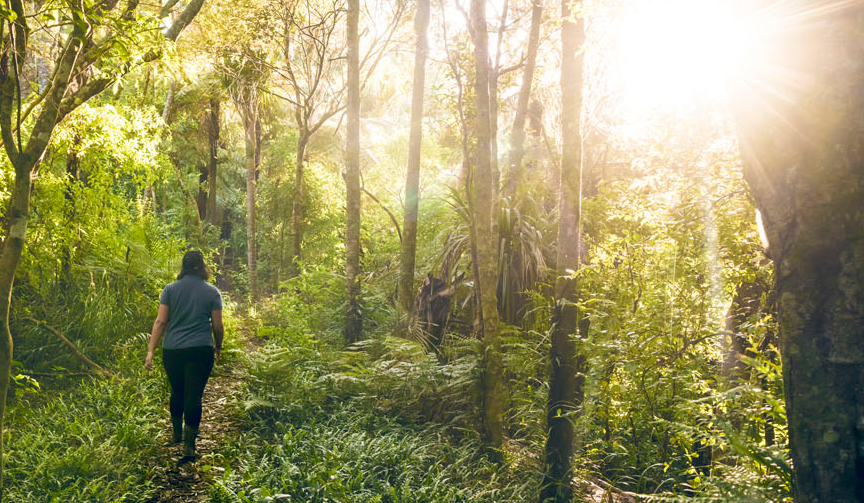 A woman walking through the bush